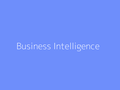 Business Intelligence